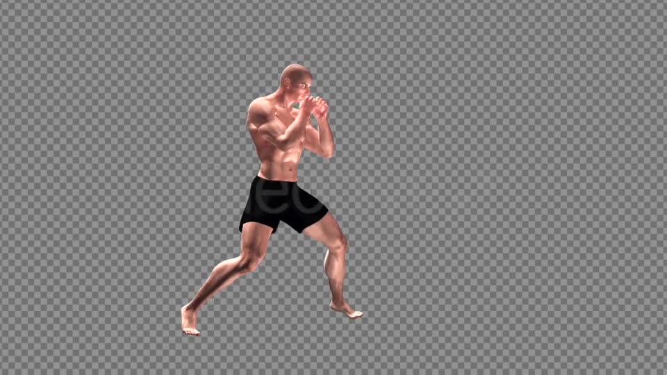 Fight Club Boxing White Male Pack of 6 Videohive 12322911 Motion Graphics Image 2