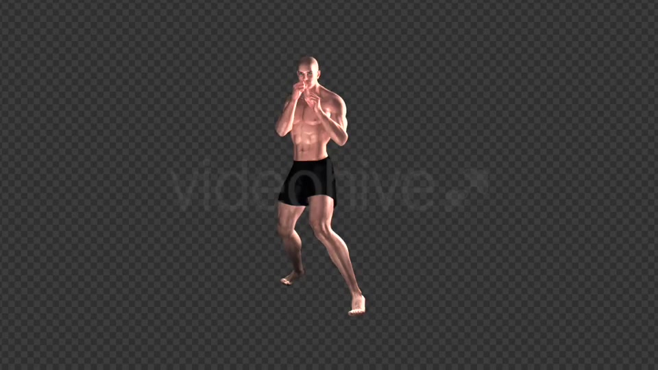 Fight Club Boxing White Male Pack of 6 Videohive 12322911 Motion Graphics Image 4