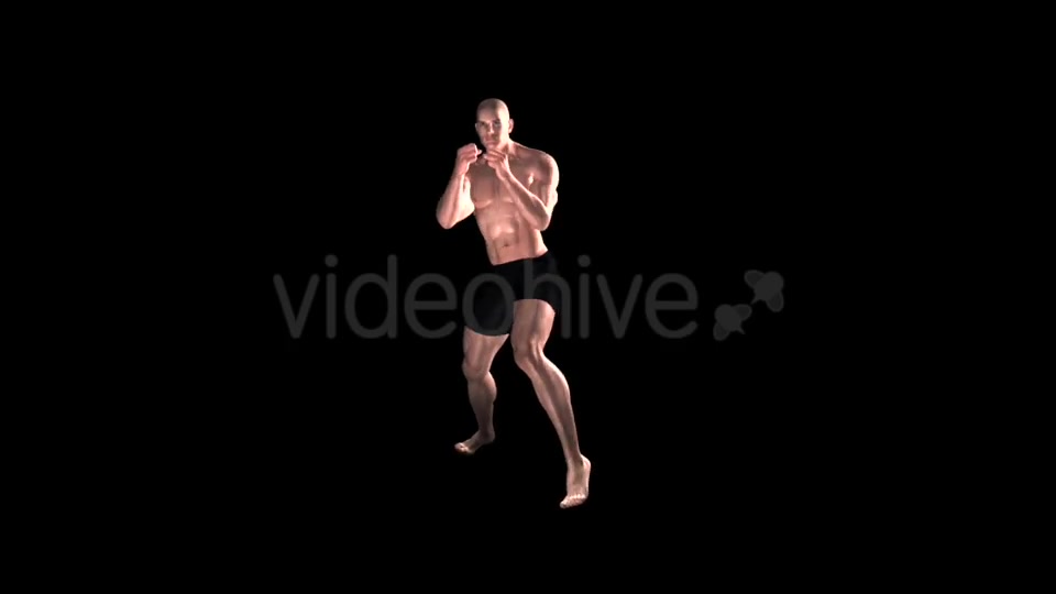 Fight Club Boxing White Male Pack of 6 Videohive 12322911 Motion Graphics Image 5