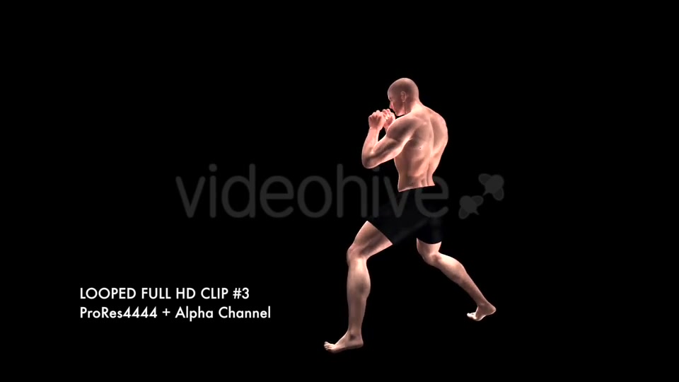 Fight Club Boxing White Male Pack of 6 Videohive 12322911 Motion Graphics Image 6
