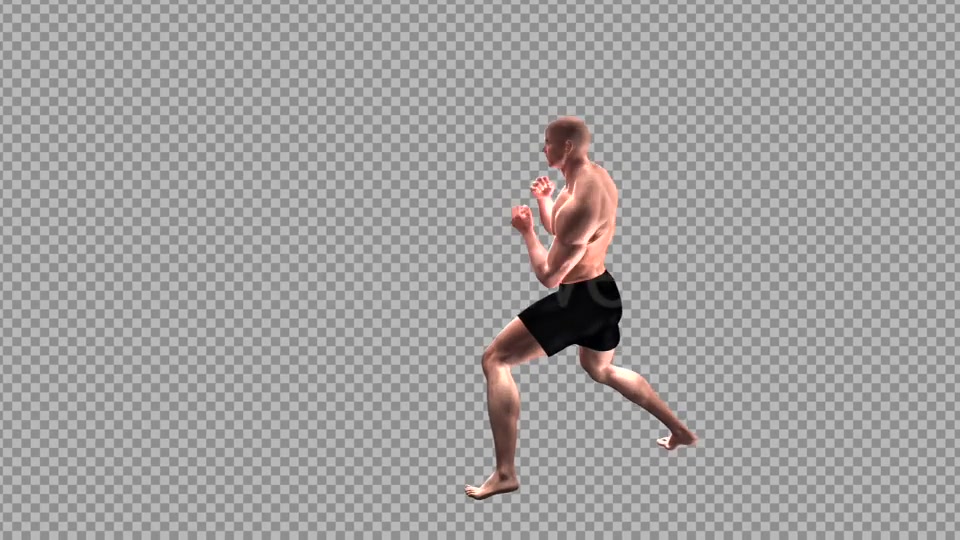 Fight Club Boxing White Male Pack of 6 Videohive 12322911 Motion Graphics Image 7