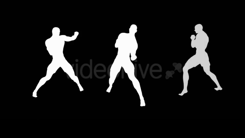 Fight Club Boxing White Male Pack of 6 Videohive 12322911 Motion Graphics Image 8