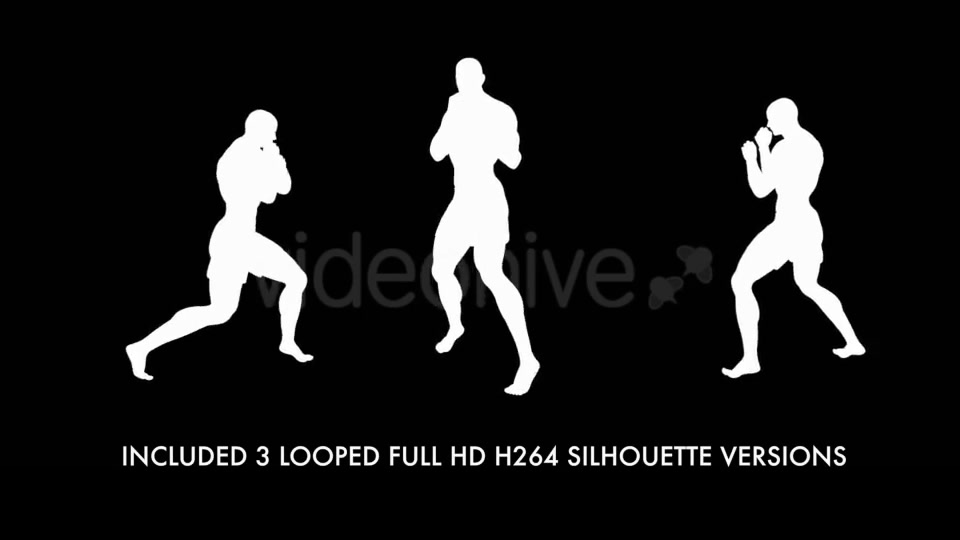 Fight Club Boxing White Male Pack of 6 Videohive 12322911 Motion Graphics Image 9