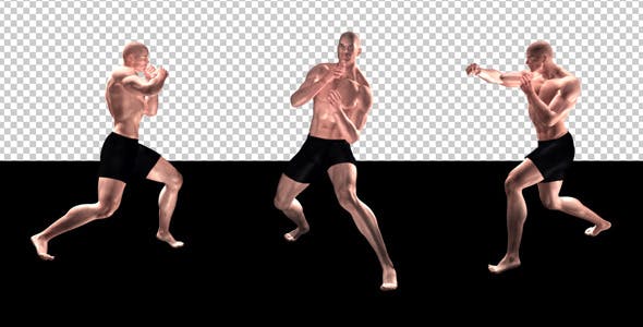 Fight Club Boxing White Male Pack of 6 - Download Videohive 12322911