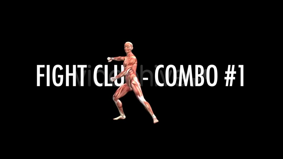 Fight Club Muscles Map Combo #1 Videohive 7365825 Motion Graphics Image 6