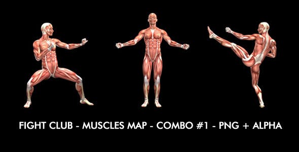 Fight Club Muscles Map Combo #1 - Download Videohive 7365825