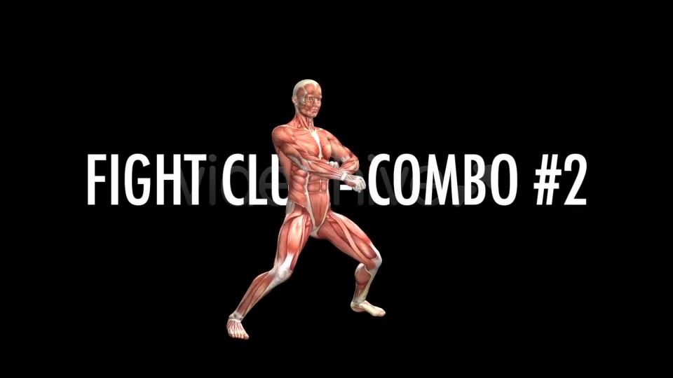 Fight Club Muscles Map Combo #2 Videohive 7365827 Motion Graphics Image 2