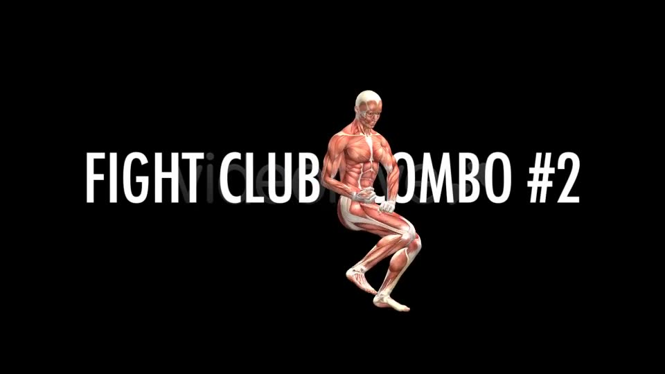 Fight Club Muscles Map Combo #2 Videohive 7365827 Motion Graphics Image 7