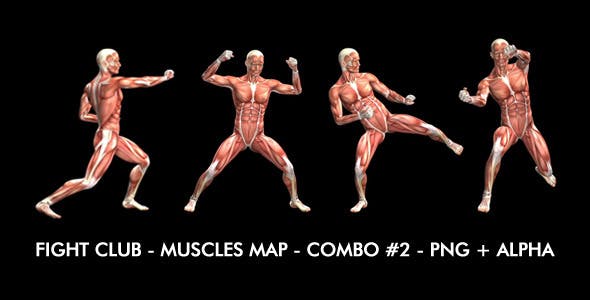 Fight Club Muscles Map Combo #2 - Download 7365827 Videohive
