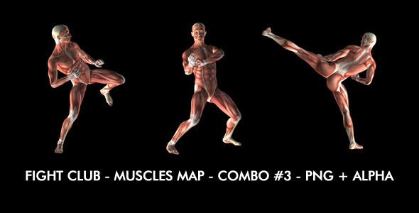 Fight Club Muscles Map Combo #3 - Videohive 7365867 Download