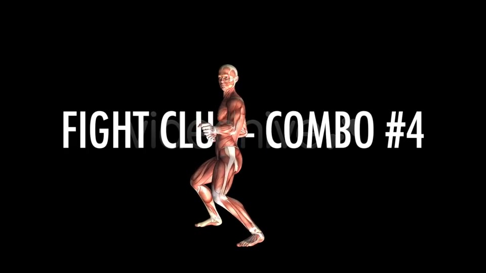 Fight Club Muscles Map Combo #4 Videohive 7365880 Motion Graphics Image 6