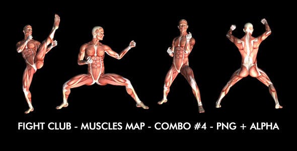Fight Club Muscles Map Combo #4 - 7365880 Download Videohive