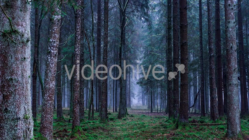 Fire and Smoke, Fog Videohive 20384391 Motion Graphics Image 5