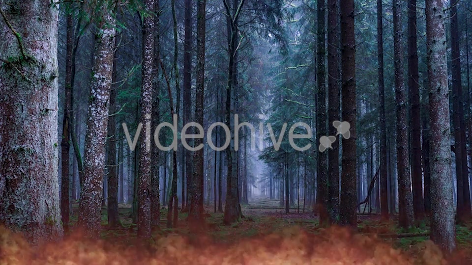 Fire and Smoke, Fog Videohive 20384391 Motion Graphics Image 6