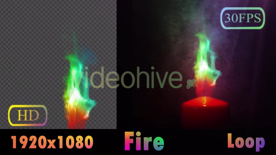 Fire Colorful Videohive 20060841 Motion Graphics Image 6