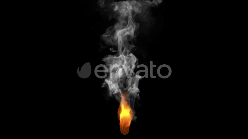 Fire Videohive 24639896 Motion Graphics Image 5