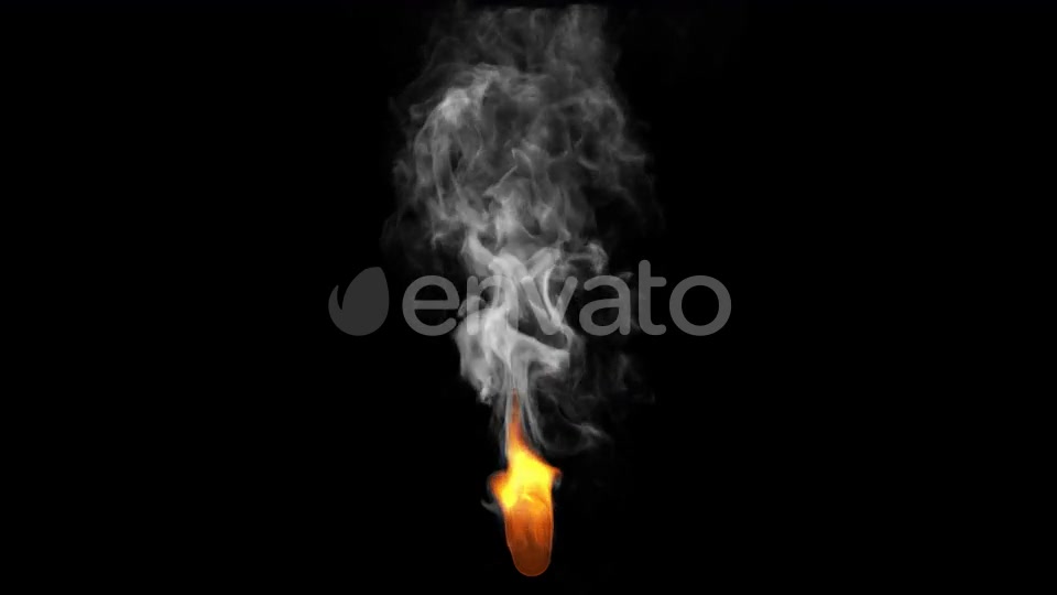 Fire Videohive 24639896 Motion Graphics Image 6