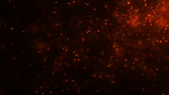 Fire Embers Loop 02 - 21796375 Videohive Download