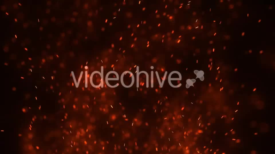 Fire Embers Loop Videohive 21508296 Motion Graphics Image 1
