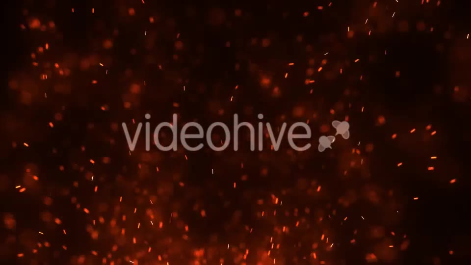 Fire Embers Loop Videohive 21508296 Motion Graphics Image 2