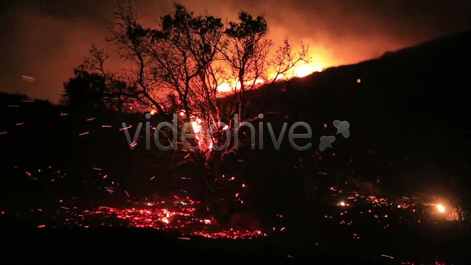 Fire In Forest At Night 3  Videohive 5680053 Stock Footage Image 1