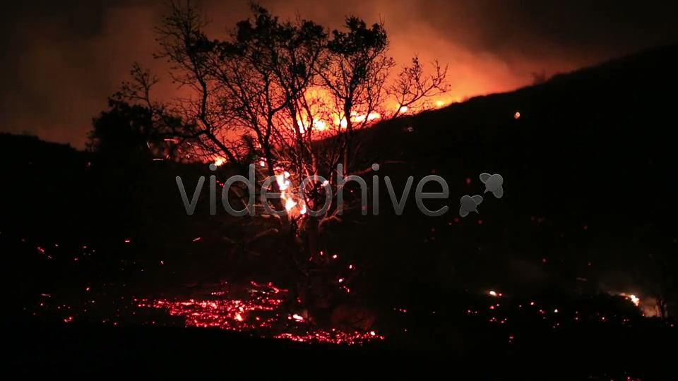 Fire In Forest At Night 3  Videohive 5680053 Stock Footage Image 10