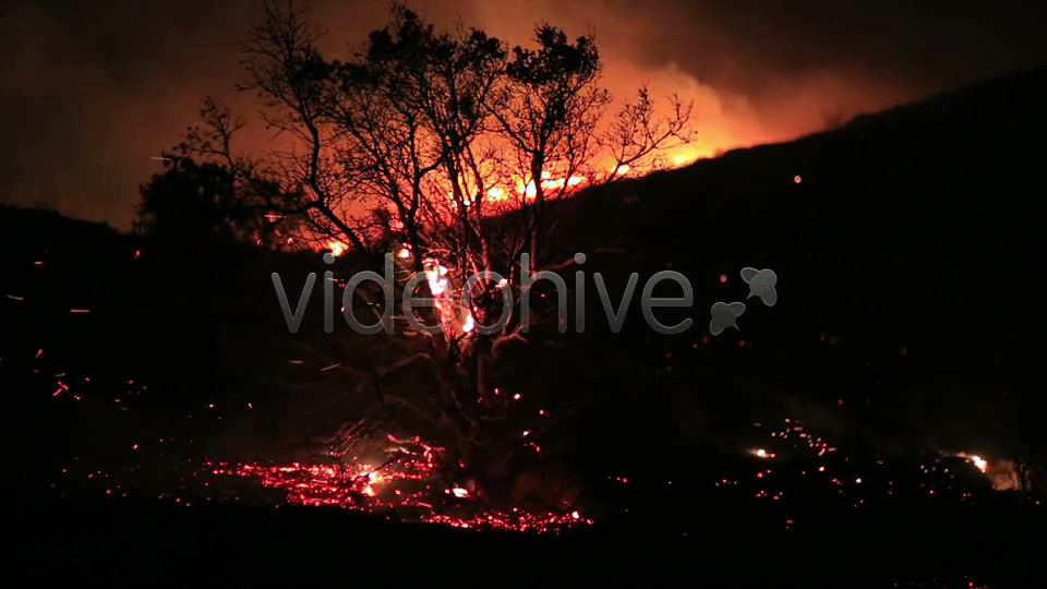 Fire In Forest At Night 3  Videohive 5680053 Stock Footage Image 11