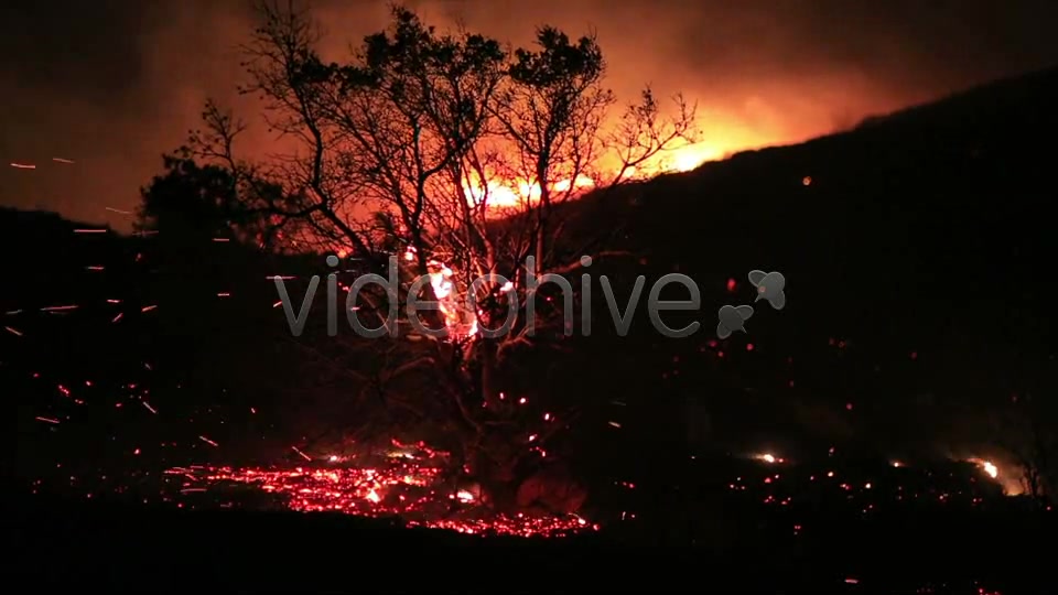 Fire In Forest At Night 3  Videohive 5680053 Stock Footage Image 4