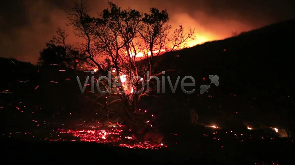 Fire In Forest At Night 3  Videohive 5680053 Stock Footage Image 6