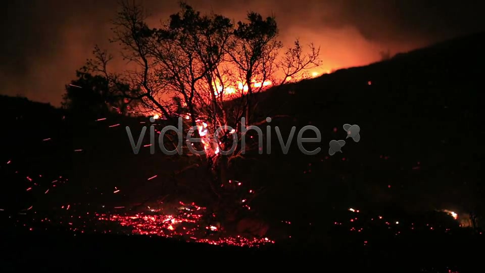 Fire In Forest At Night 3  Videohive 5680053 Stock Footage Image 9