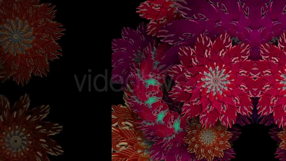 Fire Kaleido VJ Loop Videohive 19782919 Motion Graphics Image 7