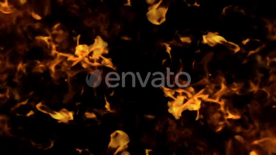 Fire Reveal Videohive 23667399 Motion Graphics Image 6