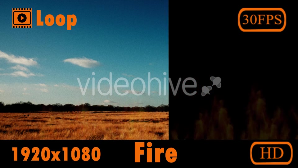 Fire Videohive 20145195 Motion Graphics Image 3