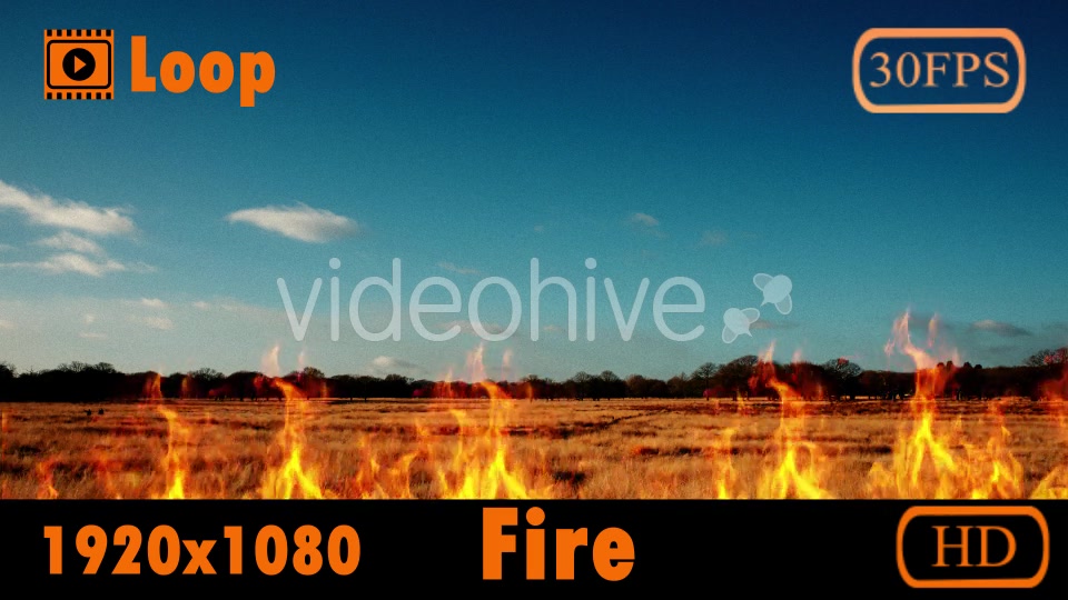 Fire Videohive 20145195 Motion Graphics Image 4