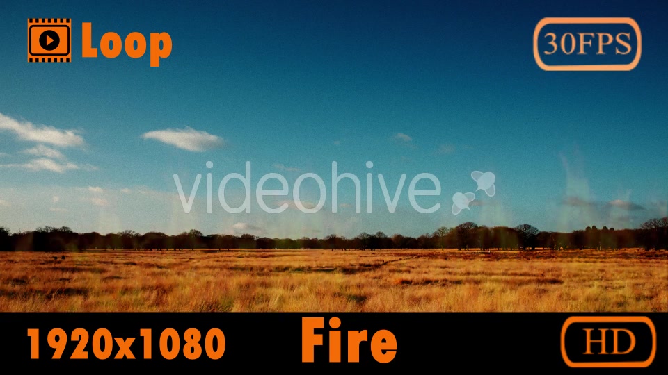 Fire Videohive 20145195 Motion Graphics Image 5