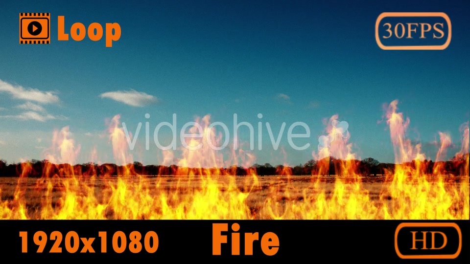 Fire Videohive 20145195 Motion Graphics Image 6