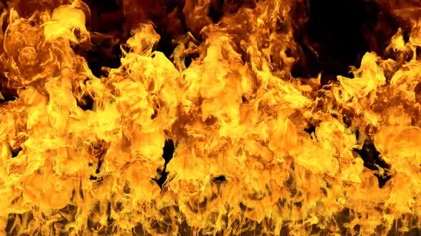 Fire Wall - Download 24302065 Videohive