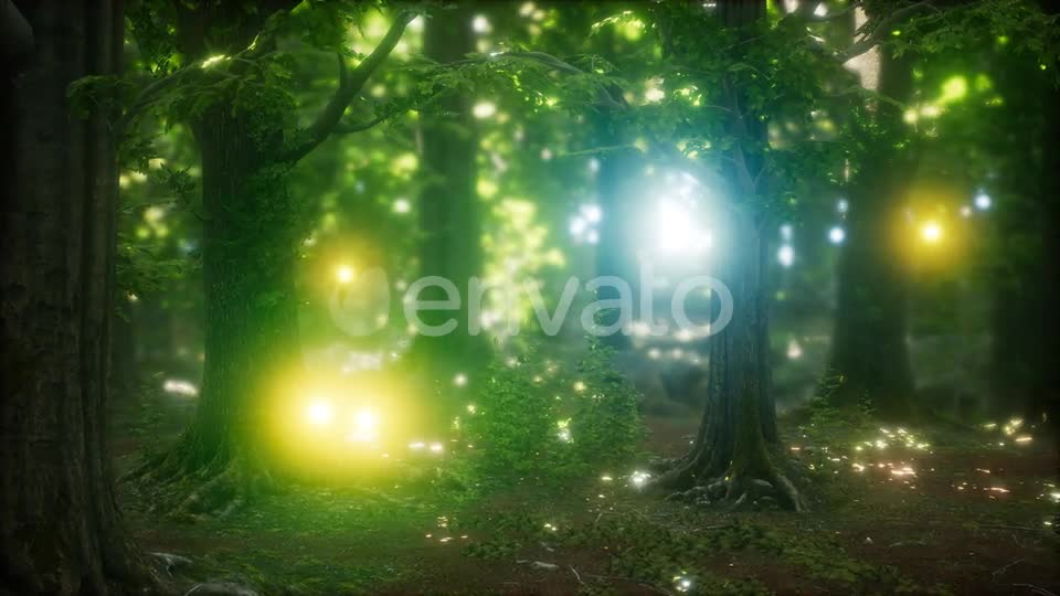 Firefly Flying in the Forest Videohive 24027405 Motion Graphics Image 1