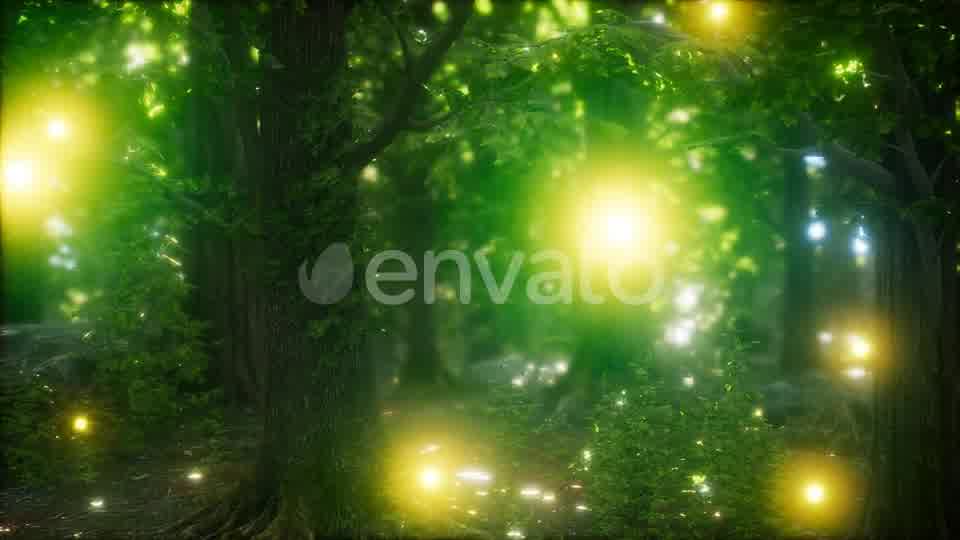 Firefly Flying in the Forest Videohive 24027405 Motion Graphics Image 10