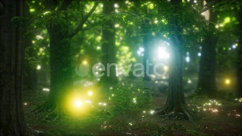 Firefly Flying in the Forest Videohive 24027405 Motion Graphics Image 2