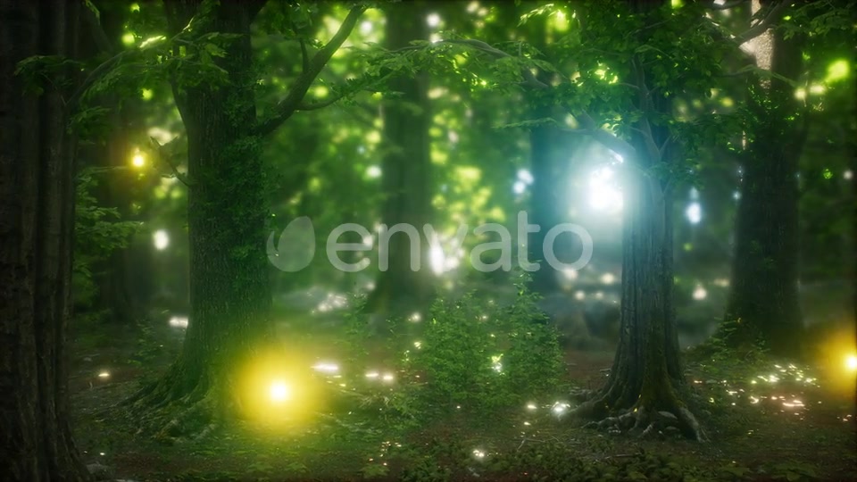 Firefly Flying in the Forest Videohive 24027405 Motion Graphics Image 3