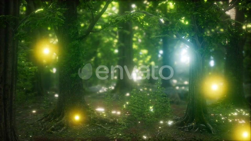 Firefly Flying in the Forest Videohive 24027405 Motion Graphics Image 4