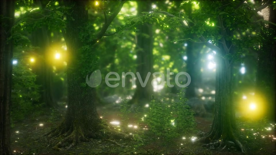 Firefly Flying in the Forest Videohive 24027405 Motion Graphics Image 5