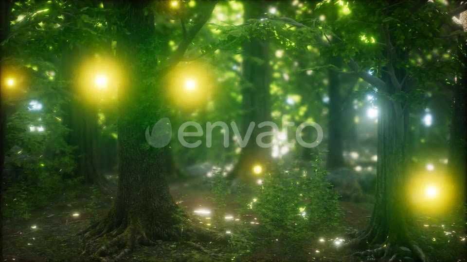 Firefly Flying in the Forest Videohive 24027405 Motion Graphics Image 6