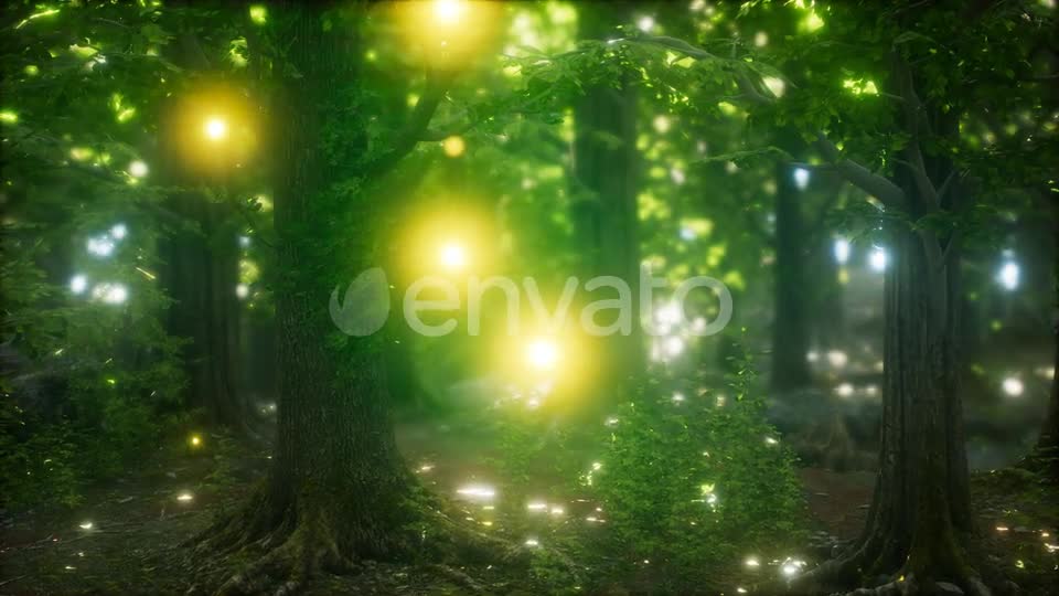 Firefly Flying in the Forest Videohive 24027405 Motion Graphics Image 7