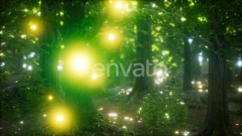 Firefly Flying in the Forest Videohive 24027405 Motion Graphics Image 8
