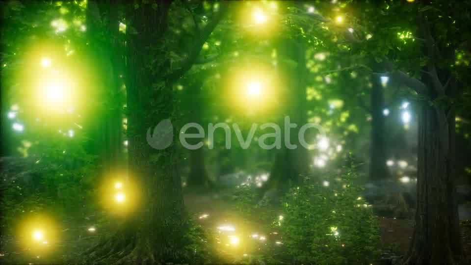 Firefly Flying in the Forest Videohive 24027405 Motion Graphics Image 9