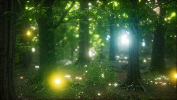 Firefly Flying in the Forest - 24027405 Download Videohive