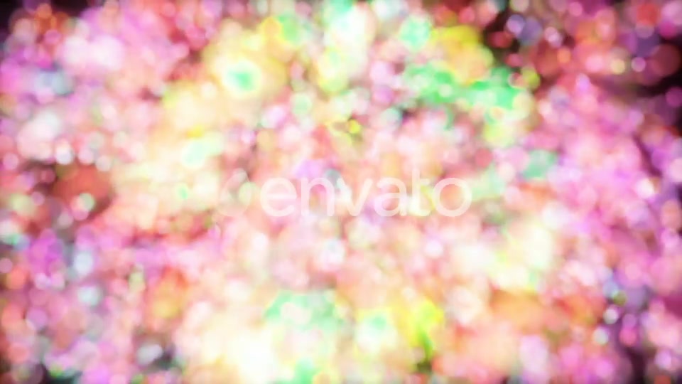Fireworks Bokeh Transitions Videohive 22318285 Motion Graphics Image 12