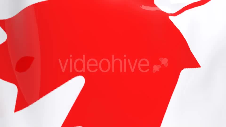 Flag Transition Canada Videohive 13467830 Motion Graphics Image 6